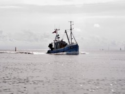 Hjem_med_dagens_fangst_IMGP4954