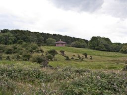 Jagt_Pavillionen_IMGP5034