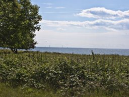 Kig_til_Storebaeltsbroen_IMGP4999