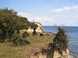 Kyst_Skraenter_IMGP5007