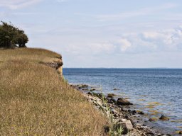 Kyst_skraent_IMGP5000