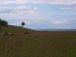 Kystlandskab_IMGP5032