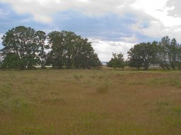 Smedelykken_IMGP5041