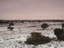 IMGP0048-Morgenstemning-over-Stanghede