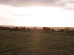 IMGP1090-Morgenstemning-over-Stanghede