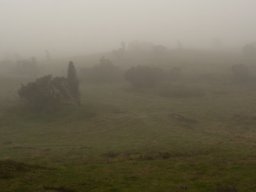 Taage_over_Stanghede_IGP0338