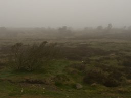 Taage_over_Stanghede_IGP0339