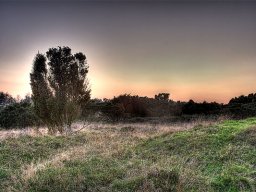 imgp8695-stanghede-i-hdr