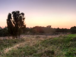 imgp8700-stanghede-i-hdr