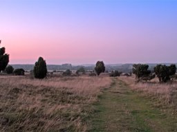 imgp8705-aftenstemning-over-stanghede