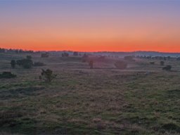 imgp8726-aftenstund-over-stanghede