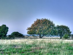 imgp8727-stanghede-i-hdr