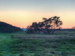 imgp8732-stanghede-i-hdr