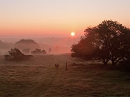 imgp8742-morgen-stund-over-stanghede
