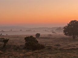 imgp8745-morgens-skumring-over-stanghede