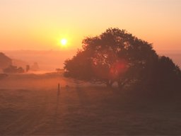 imgp8751-morgensol-over-stanghede