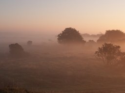 imgp8762-morgendis-over-stanghede