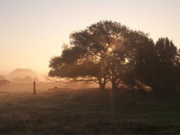imgp8765-morgenstemning-over-stanghede
