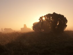 imgp8773-morgenstemning-over-stanghede