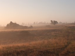 imgp8780-morgentaage-over-stanghede