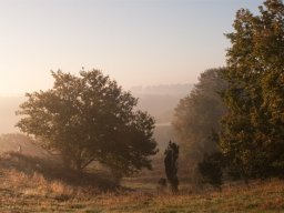 imgp8794-morgenstemning-over-slugt-paa-stanghede