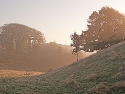 imgp8800-morgenstemning-i-slugt-ved-stanghede