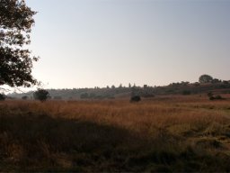 imgp9080-stanghedefaar-graesser