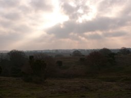 imgp9371-formiddags-sol-over-stanghede