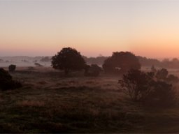 impg8747-stanghede-i-panorama1