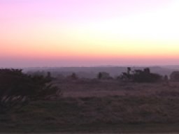 impg8976-stanghede-i-panorama